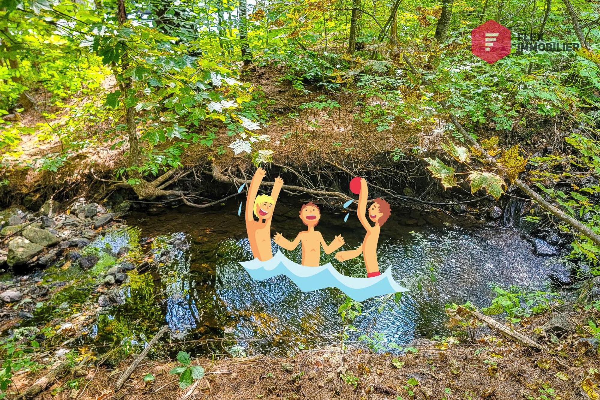 L'Arbre De La Montagne Orford - Ski Hiking Bicking Golf Beaches Magog Eksteriør bilde